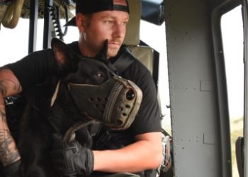 Jefferson County K-9 Attack: Off-Duty Dog Bites Child and Father After Escaping Home